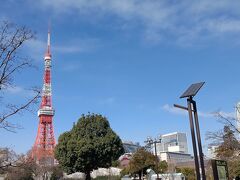 芝公園から東京タワーを眺める