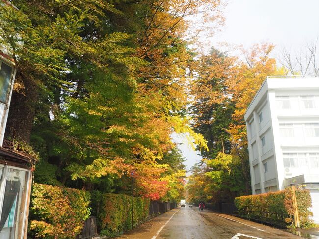2泊だけgotoを利用して4泊5日の1人東北ドライブ旅 4 秋田県 角館 鹿角など 角館 秋田県 の旅行記 ブログ By かおニャンさん フォートラベル 2泊だけgotoを利用して4泊5日の1人東北ドライブ旅 4 秋田県 角館 鹿角など 角館 秋田県 の旅行記 ブログ By かおニャンさん フォートラベル