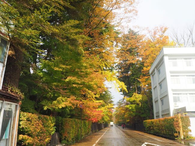 ２泊だけgotoを利用して４泊５日の１人東北ドライブ旅 4 秋田県 角館 鹿角など 角館 秋田県 の旅行記 ブログ By かおニャンさん フォートラベル