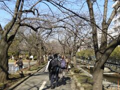 仙台堀川公園に入りました。
桜並木が続いていましたので、花見の時期でなかったことが残念です。
