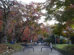 圓光寺の前に寄った神社の様子。
地元の人しかいない。しかし朝一の神社仏閣は最高です。空気も澄んで雰囲気良し、参道の紅葉も素敵。

紅葉は終わり頃でけっこう散っており、散らずに残っているものも茶色だったりするけど。

京都楽しいな！