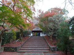 法然院と同じ道沿いにある安楽寺です。めっちゃよき。