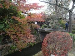 川沿いの哲学の道もしばらく歩いてみる。とあるお店の前の植え込みがキレイに色づいていました。
素敵です。

そういえば銀閣寺の近くや哲学の道で、掃き掃除をするグループさんを目撃しました。

この日の午前中は曇りで、寒さも感じる日だったんだけど。でも歩くのが楽しかった。気持ちよく散策できたのは、きれいに維持してもらっているおかげですね。
ありがとうございます。