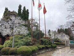 ガラスの森美術館に到着

早速ガラスの木がきれいだ
掲げられた旗は、イタリア、日本、ヴェネチア市