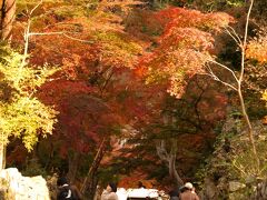 　興聖寺の参道である「琴坂」。本堂の前から見下ろす。