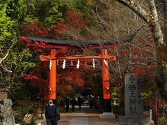 昼食まで宇治神社、宇治上神社にも足を延ばした