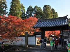 酬恩庵(一休寺)の山門。紅葉があふれ、こぼれている
