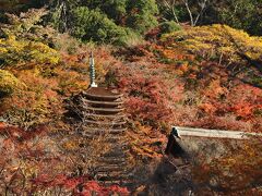 ２日目スタート。奈良市のホテルを午前７時前に出発し、桜井市の談山神社へ。８時半の開門前に着いた。渋滞の名所だが、早朝だと問題はない。第１駐車場に入れた。第５よりも遠いが、止めやすくて門前までの距離も問題はない。写真は門前から