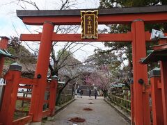 県庁を出て、東大寺に向って移動する途中に立ち寄ったのが【氷室神社】
鳥居の奥に見える、美しい紅白の梅でも有名なんです。
