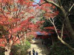 室生寺