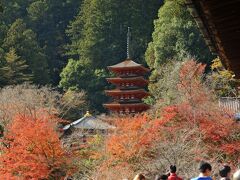 長谷寺 五重塔