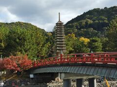 旅は紅葉の宇治からスタート