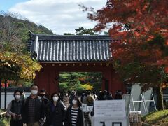 久し振りの宇治平等院だ