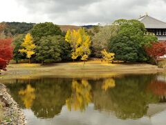 東大寺