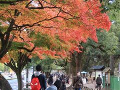 奈良県庁