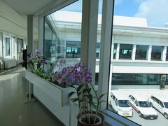 晴天の那覇空港に到着しました。