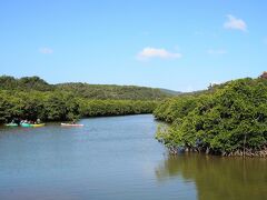 慶佐次湾のヒルギ林は、ヒルギ群生地として沖縄本島でも最大規模を誇り、国の天然記念物にも指定されています。