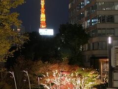 東京ミッドタウンのイルミネーションを後にしました