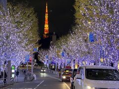 もう一度けやき坂の横断歩道を渡り
写真を撮ります。やはりここが一番綺麗かな