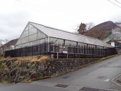 箱根強羅公園 植物園