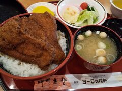 ヨーロッパ軒で念願のソースカツ丼を。
カツがはみでるすごいボリュームでした！！