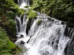 さて、軽井沢に向かう途中、白糸の滝に寄った

途中の遊歩道もミニイグアスの滝のよう
