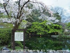 富士山本宮浅間大社