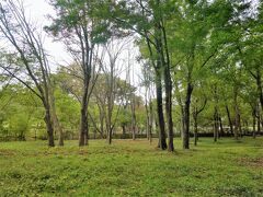 狭山公園に来ました。
多摩湖に接してある都立の公園です。
