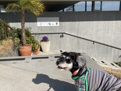 1日目
ゆっくりめに出発。
ランチで来たのはこちら。
真鶴にあるお林の中のレストラン海to里。