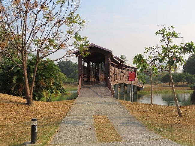 香港發財燒臘店で広州炒飯&衛武営都会公園をポタリング 高雄 2021/01/27