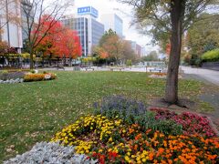 大通公園の花と紅葉