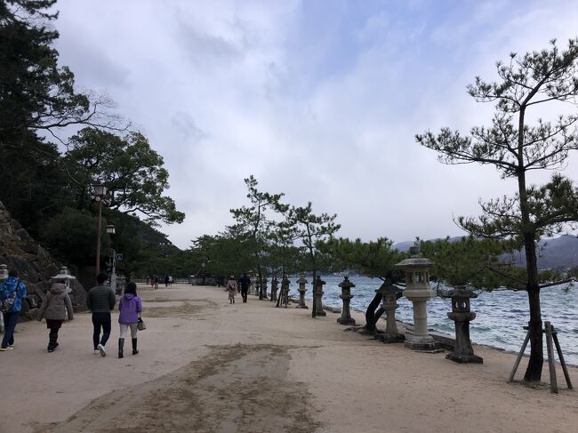 石燈がたくさん並んでいます。