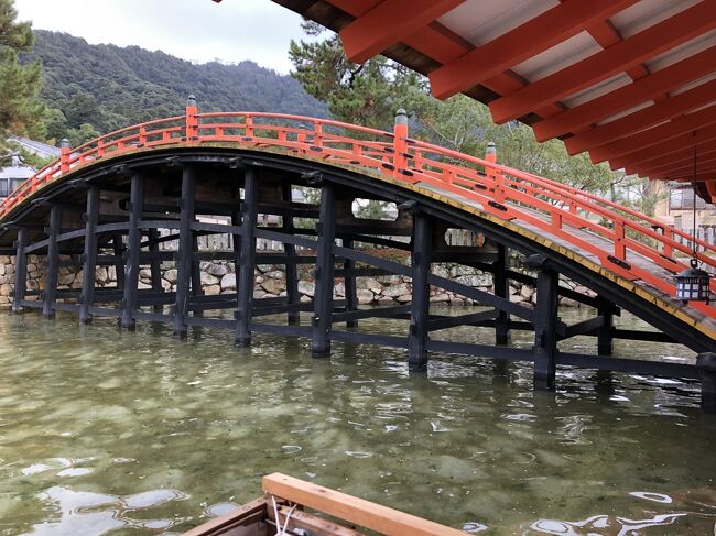 反橋です。華麗ですね。