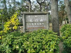 ホテルをチェックアウトして、下鴨神社にやってきました。