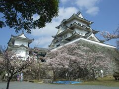 伊賀上野城天守閣と桜