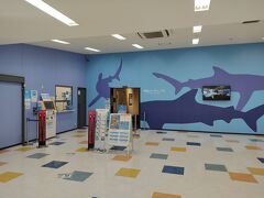 シャークミュージアム
海の市2階にある鮫の資料館。
