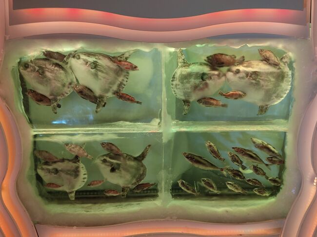 氷点下２０度を体験するという目的なら訪問してみてもいいですが、少なくとも水族館ではないよね、といった印象でした。