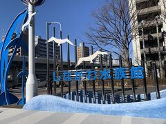 しながわ水族館