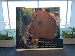 鹿児島空港に到着いたしました。