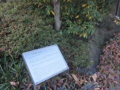 この場所には米沢藩上杉家の江戸藩邸があったようです