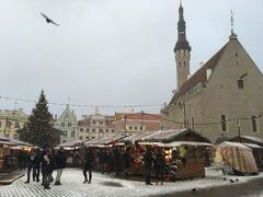 再び旧市庁舎広場へ行ってみると、クリスマスマーケットのお店がオープンしていた。

かつてヨーロッパのクリスマスマーケットで1位を獲ったタリンのクリスマスマーケットだけど、規模はこぢんまりとしているね。