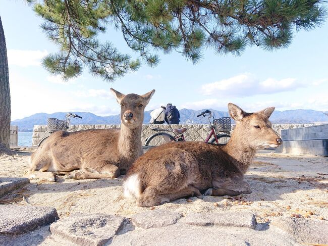 ほのぼのしてるなー