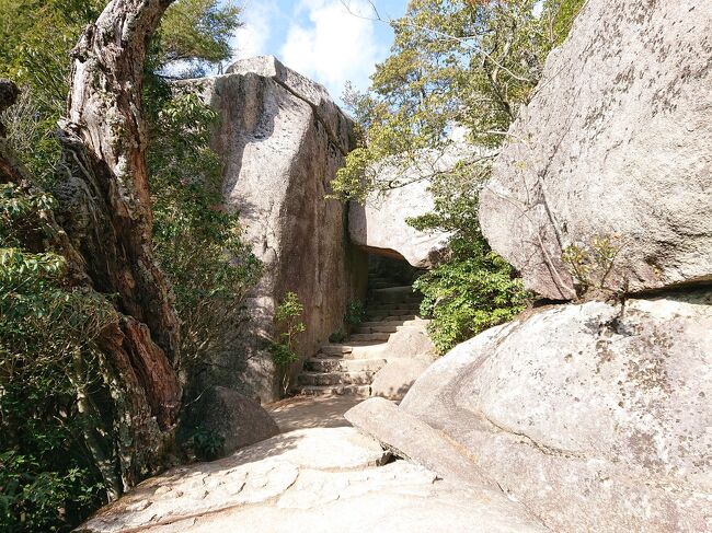 頂上目指します