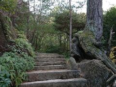 では下ります
これを上ったんだから帰りは楽