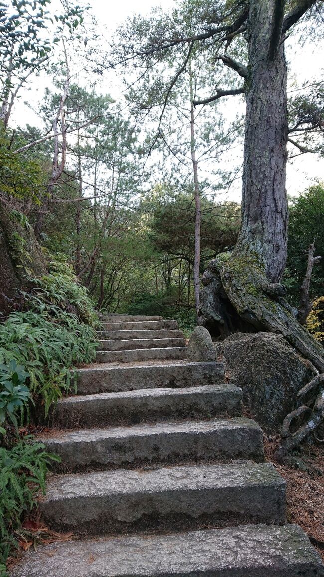 では下ります<br />これを上ったんだから帰りは楽