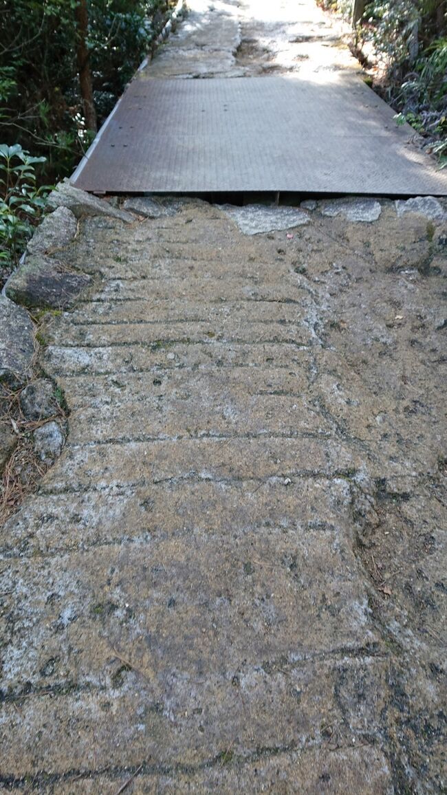 道が凍りすべるので注意