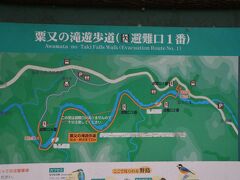 粟又の滝遊歩道へは、階段を降りていきます。