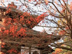 今回寺社はどこも待つことなくスムーズに入られ、助かりました!(^^)!
4日前に同僚がツアーの特別早朝拝観で「東福寺」を参拝し、終わって外へ出たところ、通常拝観待ちの行列だったそうです。