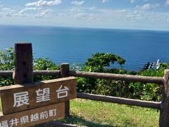 海岸線から山手に上り・・・

越前岬水仙ランドに来てみました。

冬場には綺麗に咲き誇る水仙。
水仙が斜面一帯に咲いて美しい景色を楽しむ事ができるでしょう！