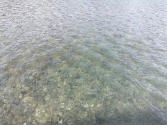 近くの汽水湖まで散歩し